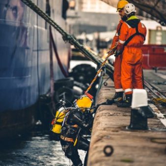 Diving Surveys